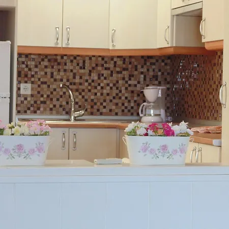 База отдыха Miami 5*